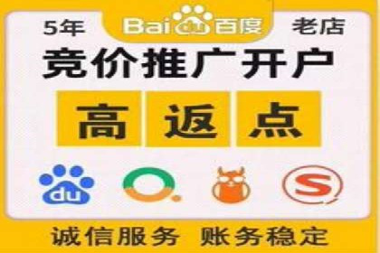 谷歌SEM广告策略：某电商平台的成功逆袭案例